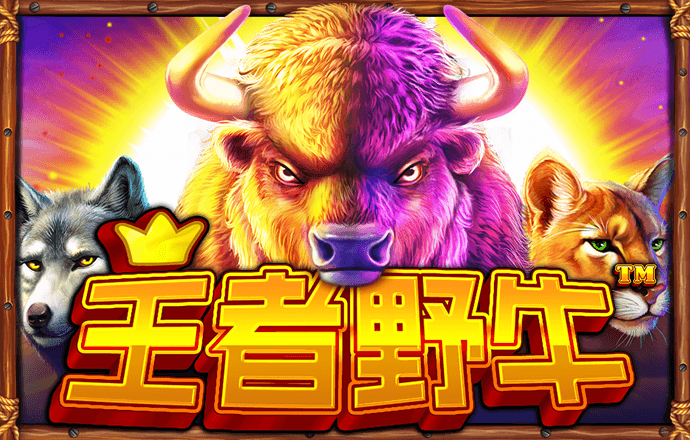 37000cm威尼斯
