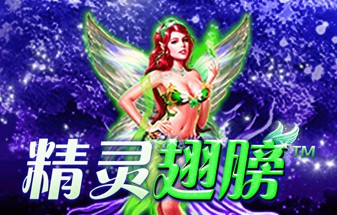 开云app全站